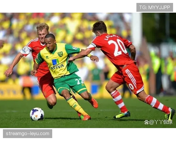 南安普顿强势重返英超,重振雄风展现强劲竞争力 南安普顿强势重返英超,重振雄风展现强劲竞争力