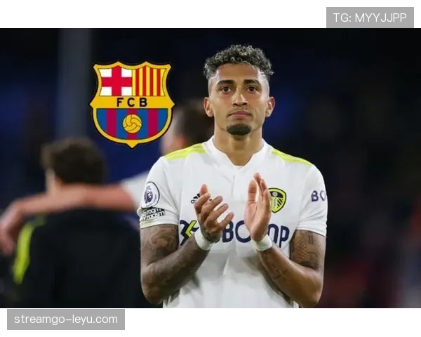 拉菲尼亚利兹联稳步崛起，边锋天才闪耀蜕变之路