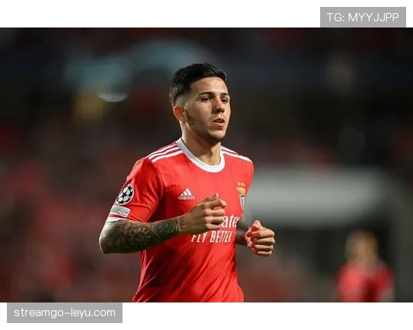 本菲卡中场表现稳健，战术执行力凸显，持续提升球队竞争力