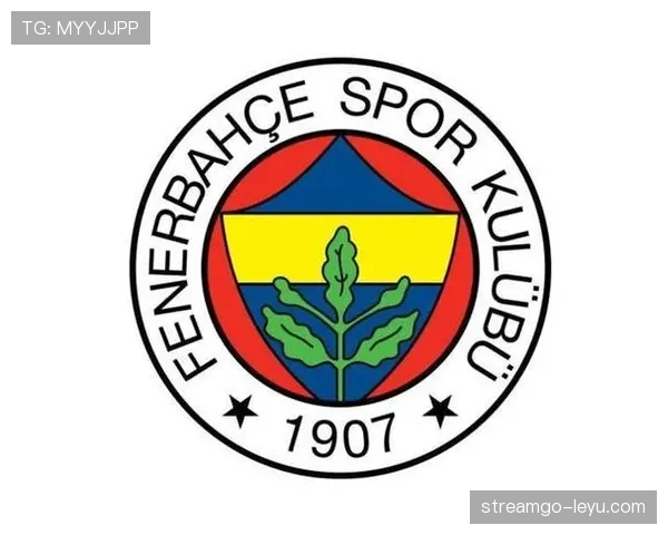 费内巴切数据分析