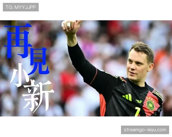 诺伊尔技术能力总结 诺伊尔技术能力总结